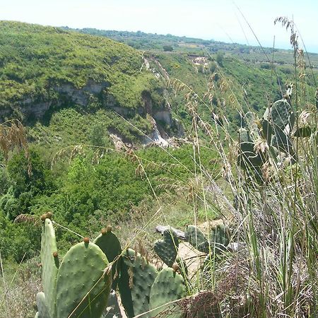 Azienda Agrituristica Carida Zaccanopoli Экстерьер фото