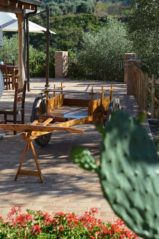 Azienda Agrituristica Carida Zaccanopoli Экстерьер фото