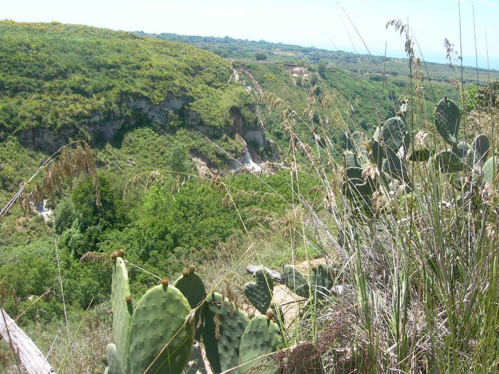 Azienda Agrituristica Carida Zaccanopoli Экстерьер фото